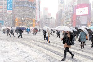 Alasan Menyukai Musim Dingin di Tokyo