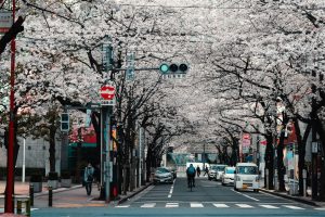 Hal Terbaik dan Terburuk Tentang Tinggal di Jepang