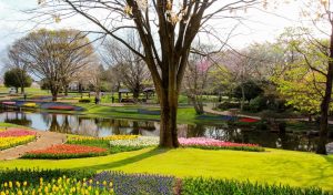 Rumah Ladang Bunga Terbaik di Tokyo