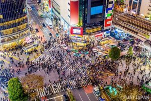 Jantungnya Kota Metropolitan Tokyo